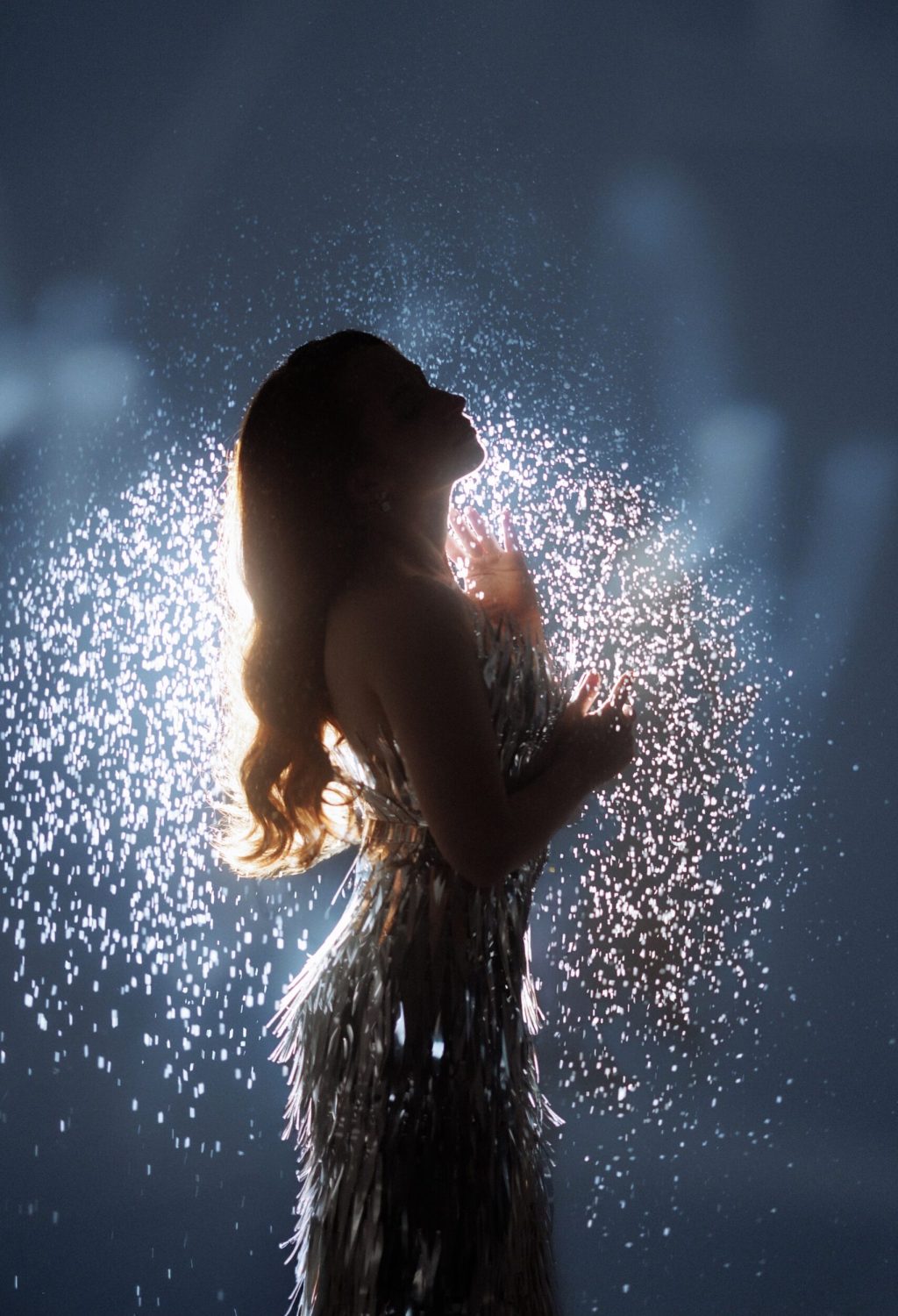 Woman,In,Metallic,Dress,Posing,In,Studio,Under,Spotlight,,Glitter